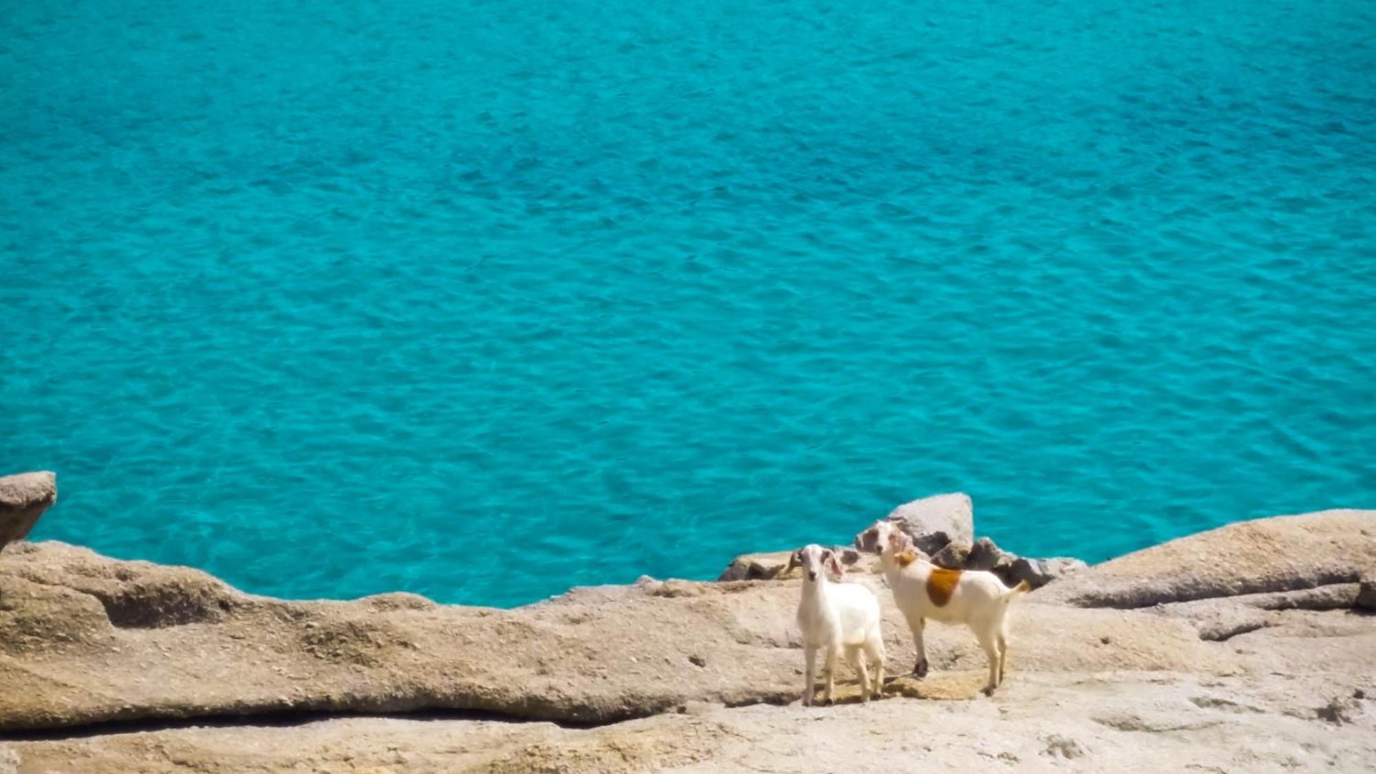 Ferienhaus Sunny Getaway In Mykonos Lia